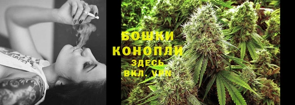 соль ск Осташков