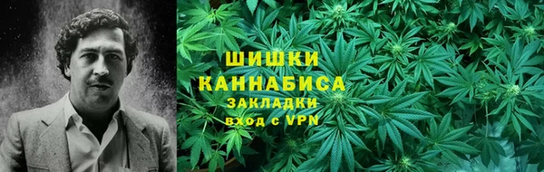 дживик Осинники