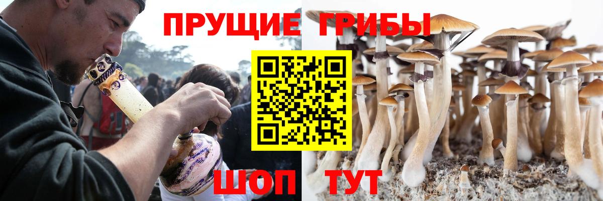 Ливны  Галлюциногенные грибы ЛСД  Вход с VPN 